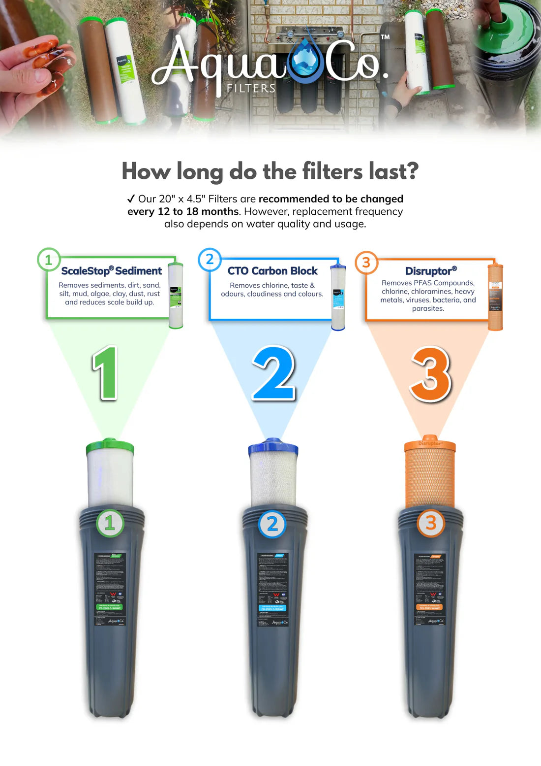 AquaCo water filter cartridges showing three types: ScaleStop sediment, CTO carbon block, and Disruptor PFOA filter cartridges