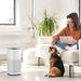 Ionmax air purifier in modern living room with woman using tablet and pet dog nearby
