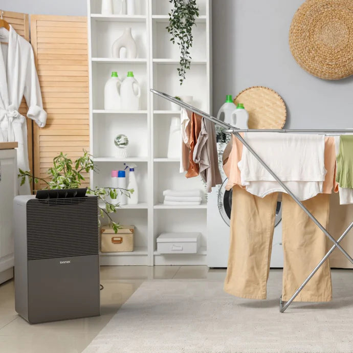 Ionmax dehumidifier in modern laundry room with drying rack and hanging clothes